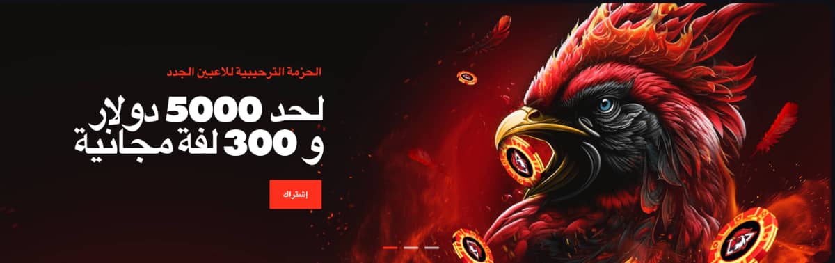 مراجعة موقع كازينو Rooster.bet اون لاين